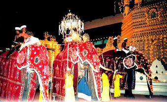 Image Caption