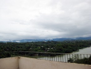 Image Caption