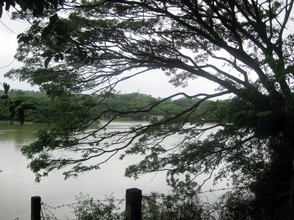 Image Caption